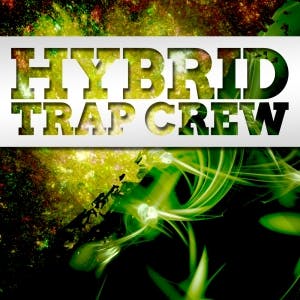Hybrid Trap CREW