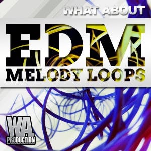 EDM Melody Loops