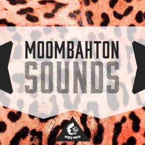 Moombahton Sounds