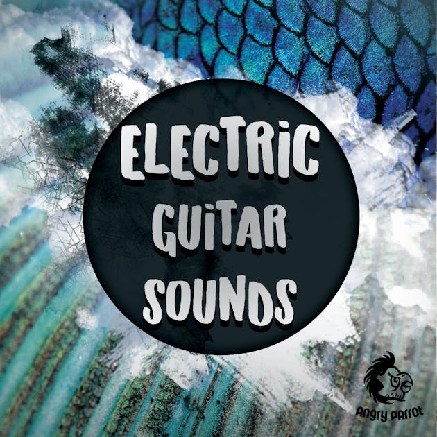 Electric Guitar Sounds W. A. Production