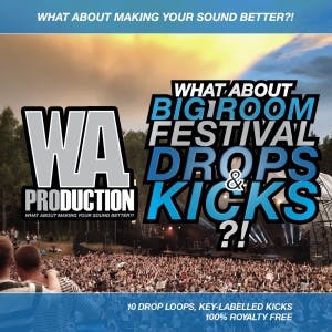Big Room Festival Drops &amp; Kicks