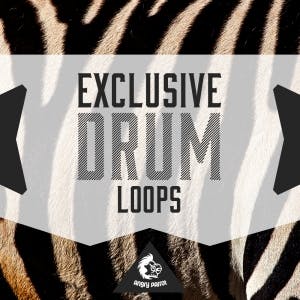 Exclusive Drum Loops