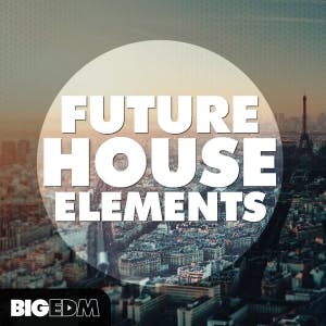 Future House Elements