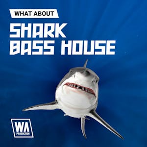 Shark Bass House