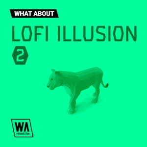 Lofi Illusion 2