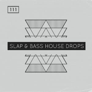 Slap &amp; Bass House Drops