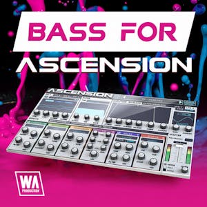Bass For Ascension