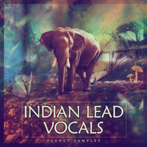 Indian Lead Vocals
