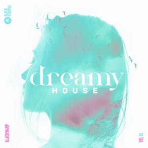 Dreamy House Vol. 1