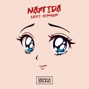 Namida - Lofi Hip Hop