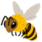 User's profile avatar